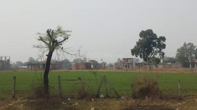 Image of 28000 Sq.ft Residential Plot / Land for sale in Sector 128, Noida for Rs. 90000000