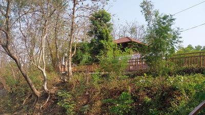 Image of 547 Sq.ft 1 BHK Apartment / Flat for sale in Nirvana Wollywood Wada, Wada, Mumbai for Rs. 3430000