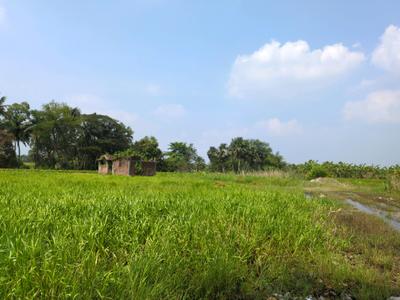 Image of 3600 Sq.ft Residential Plot / Land for sale in Natures Paradise, Joka, Kolkata for Rs. 749998