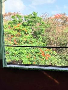 Balcony Image of 5000 Sq.ft 6 BHK Independent House for sale in Nerul Navi Mumbai for Rs. 120000000