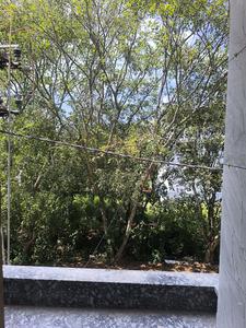 Bedroom Five Image of 3150 Sq.ft 5 BHK Apartment / Flat for sale in Jyotipuram Bengaluru for Rs. 29000150