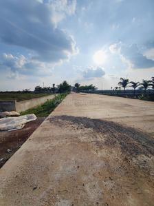 Aranya City Of Woodland Chatoud Plot View 3