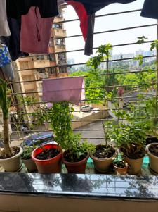 Balcony Image of 1130 Sq.ft 2 BHK Apartment / Flat for sale in Anmol Planet, Kharghar Navi Mumbai for Rs. 12500000