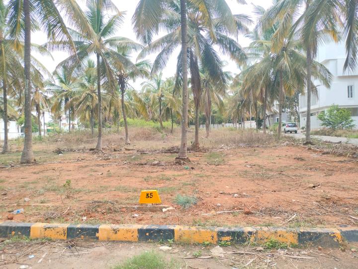 Marsur Main Image 1