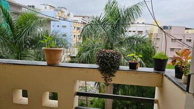 Balcony Image of 1350 Sq.ft 3 BHK Apartment / Flat for rent in Dwarakamai Olive Apartments, Hoodi Bengaluru for Rs. 50000