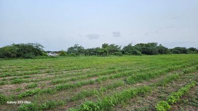 Image of 10000 Sq.ft Residential Plot / Land for sale in Becharaji, Mehsana for Rs. 5000000