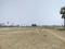 Bihta Plot View 2
