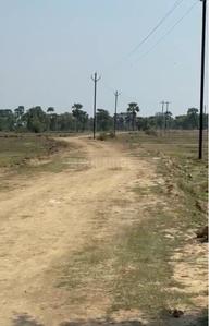 Image of 1360 Sq.ft Residential Plot / Land for sale in Bodh Gaya, Gaya for Rs. 1000000