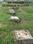 site C surajpur  greater noida Main Image 1