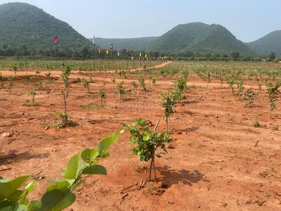 Image of 100 Sq.ft Residential Plot / Land for sale in Bhogapuram, Visakhapatnam for Rs. 600000