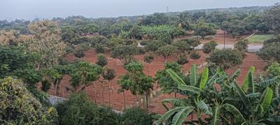 Image of 2800 Sq.ft 3 BHK Farm House for sale in Chilkur, Hyderabad for Rs. 25000000