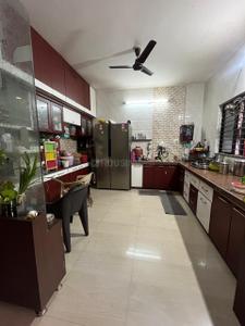 Kitchen Image of 1690 Sq.ft 3 BHK Apartment / Flat for rent in Naranpura Ahmedabad for Rs. 35000