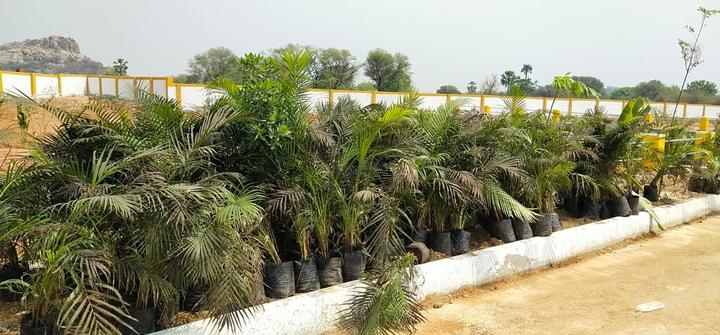 Nsr county Main Image 1