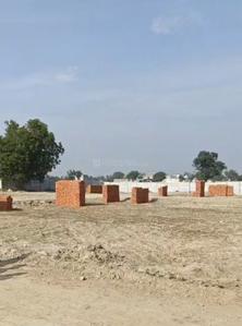 Dankaur Plot View 3