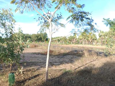 Image of 600 Sq.ft Residential Plot / Land for sale in Thiruvellavoyal, Chennai for Rs. 510000