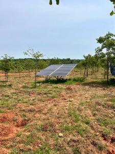 Image of 111 Sq.ft Residential Plot / Land for sale in Kothavalasa, Visakhapatnam for Rs. 666000
