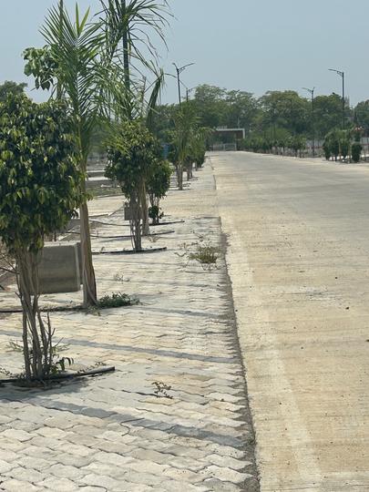 Mauli Town 29 Main Image 1