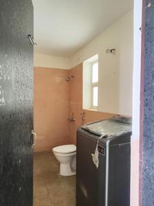 Common Bathroom Image of 953 Sq.ft 2 BHK Apartment / Flat for rent in Jaypee Aman, Aurangabad Noida for Rs. 17000