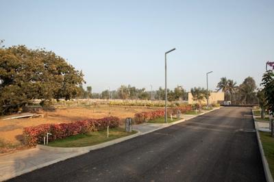Residential Plot