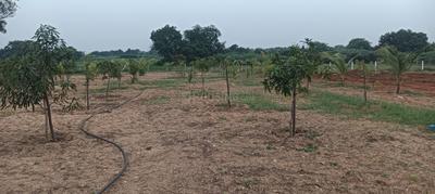 Agricultural Land