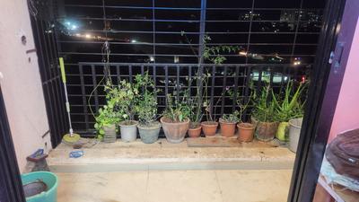Balcony Image of 700 Sq.ft 2 BHK Apartment / Flat for rent in Crystal Panvelkar Aangan, Vasind Thane for Rs. 15000