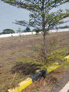 Image of 800 Sq.ft Residential Plot / Land for sale in Siruvapuri, Ponneri, Chennai for Rs. 1300000