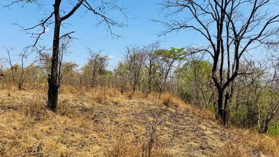 Image of 1089 Sq.ft Residential Plot / Land for sale in Padghawali, Raigad for Rs. 350000