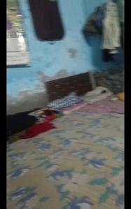 1.5 BHK Independent House
