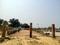 Mohanlalganj Plot View 2