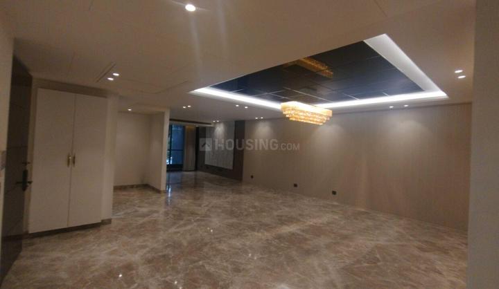 Pocket D Main Image 1