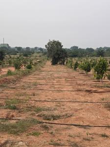 Image of 121 Sq.ft Residential Plot / Land for sale in Keesara, Secunderabad for Rs. 786500