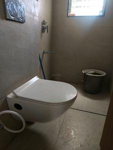 Common Bathroom Image of 1120 Sq.ft 2 BHK Apartment / Flat for rent in Vision Greenville, Hadapsar Pune for Rs. 31500