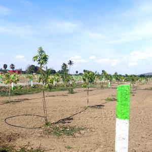 Image of 9600 Sq.ft Residential Plot / Land for sale in Chengalpattu, Chennai for Rs. 2400000