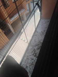 Balcony Image of 425 Sq.ft 1 BHK Apartment / Flat for sale in Murlidhar Jaldeep Apartments, Sanand Ahmedabad for Rs. 3200000
