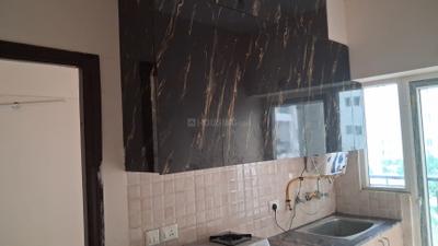 Kitchen Image of 585 Sq.ft 1 BHK Apartment / Flat for rent in Amrapali Dream Valley 2, Noida Extension Greater Noida for Rs. 16200