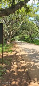 Image of 210 Sq.ft Residential Plot / Land for sale in Myron Dynasty, Vikarabad Town, Vikarabad for Rs. 4400000