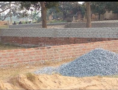 Vrindavan More Images 2