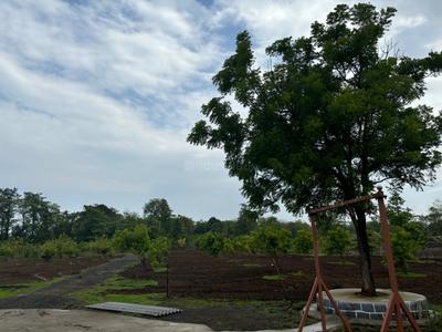 Image of 624 Sq.ft 1 BHK Farm House for sale in Palghar, Mumbai for Rs. 20000000