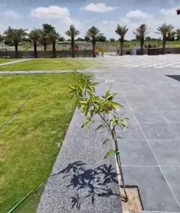 Image of 2700 Sq.ft Residential Plot / Land for sale in Silpa Botanica, Kandukur, Hyderabad for Rs. 9600000