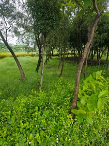 Image of 1264 Sq.ft Residential Plot / Land for sale in DLF Gardencity, Manglia, Indore for Rs. 5680000