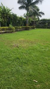 Image of 1500 Sq.ft 3 BHK Farm House for sale in DPL Nature Retreat, Tech Zone, Greater Noida for Rs. 16000000