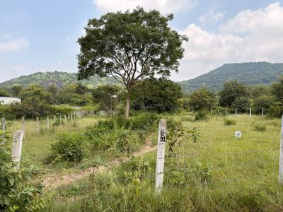 Image of 10760 Sq.ft Residential Plot / Land for sale in Sairung City, Nerhe, Pune for Rs. 19368000