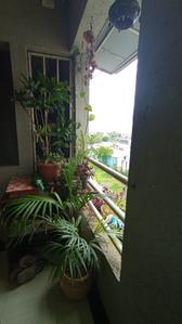 Balcony Image of 1300 Sq.ft 2 BHK Apartment / Flat for sale in DK Aadrika, Hingne Khurd Pune for Rs. 11000000