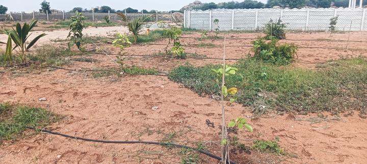 Sirivanam Main Image 1