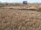Chincpada Plot View 2