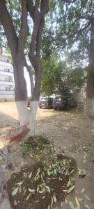 Image of 225 Sq.ft Residential Plot / Land for sale in Palam Vihar, Gurgaon for Rs. 52500000