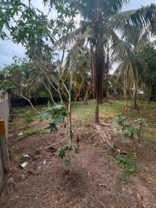 Image of 8944 Sq.ft Residential Plot / Land for sale in Palavakkam, Sholinganallur, Chennai for Rs. 174000000