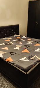 Bedroom Image of 1100 Sq.ft 2 BHK Independent House for rent in Sector 41 Noida for Rs. 30000