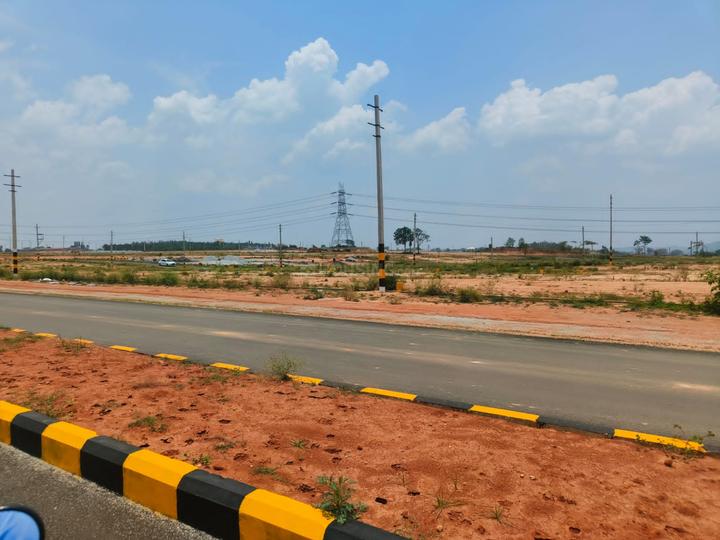 Bannerughatta Main Image 1