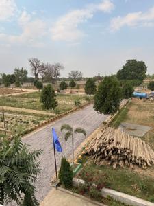 Image of 1000 Sq.ft Residential Plot / Land for sale in Bijnor, Lucknow for Rs. 2500000